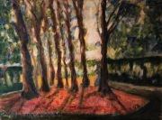 The Light through the Trees- Oil- Canvas- 18 x 24- $575.00